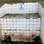 Copo de água de bica contaminada em Piracicaba com E. coli