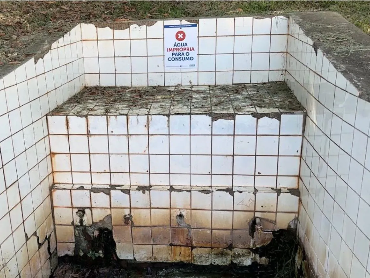 Copo de água de bica contaminada em Piracicaba com E. coli