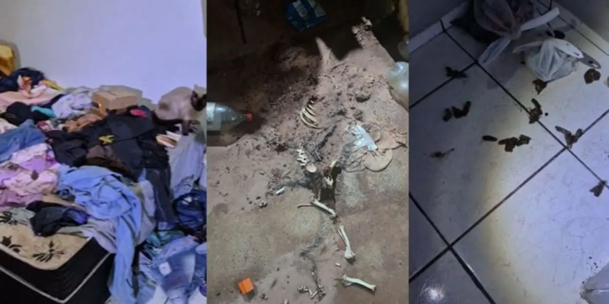 Criança resgatada, abandono infantil, maus-tratos animal, Assis, negligência, polícia, casa suja, pulgas