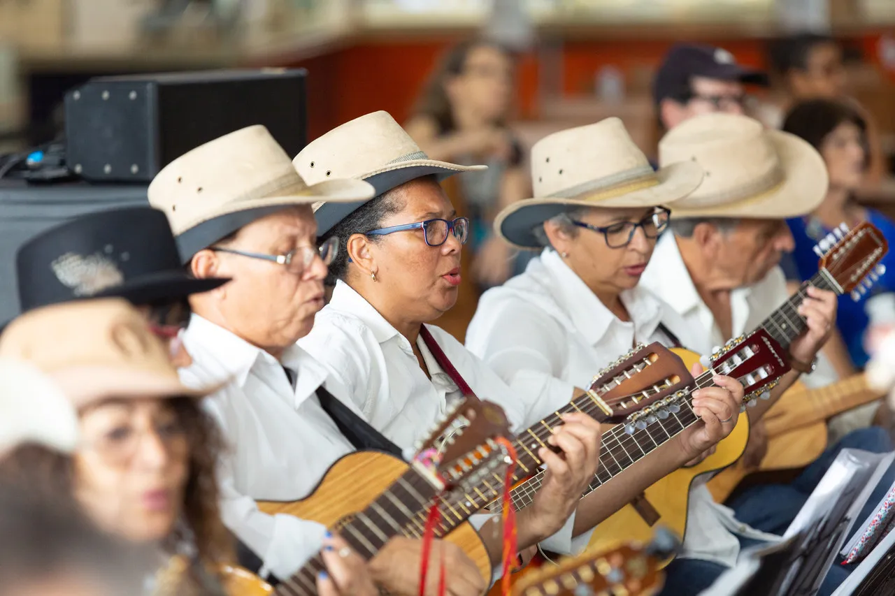Alaúde árabe, vihuela portuguesa e viola caipira brasileira lado a lado, mostrando a evolução do instrumento