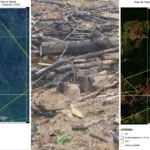 Desmatamento ilegal no Paraná, Inácio Martins, floresta queimada, multa ambiental