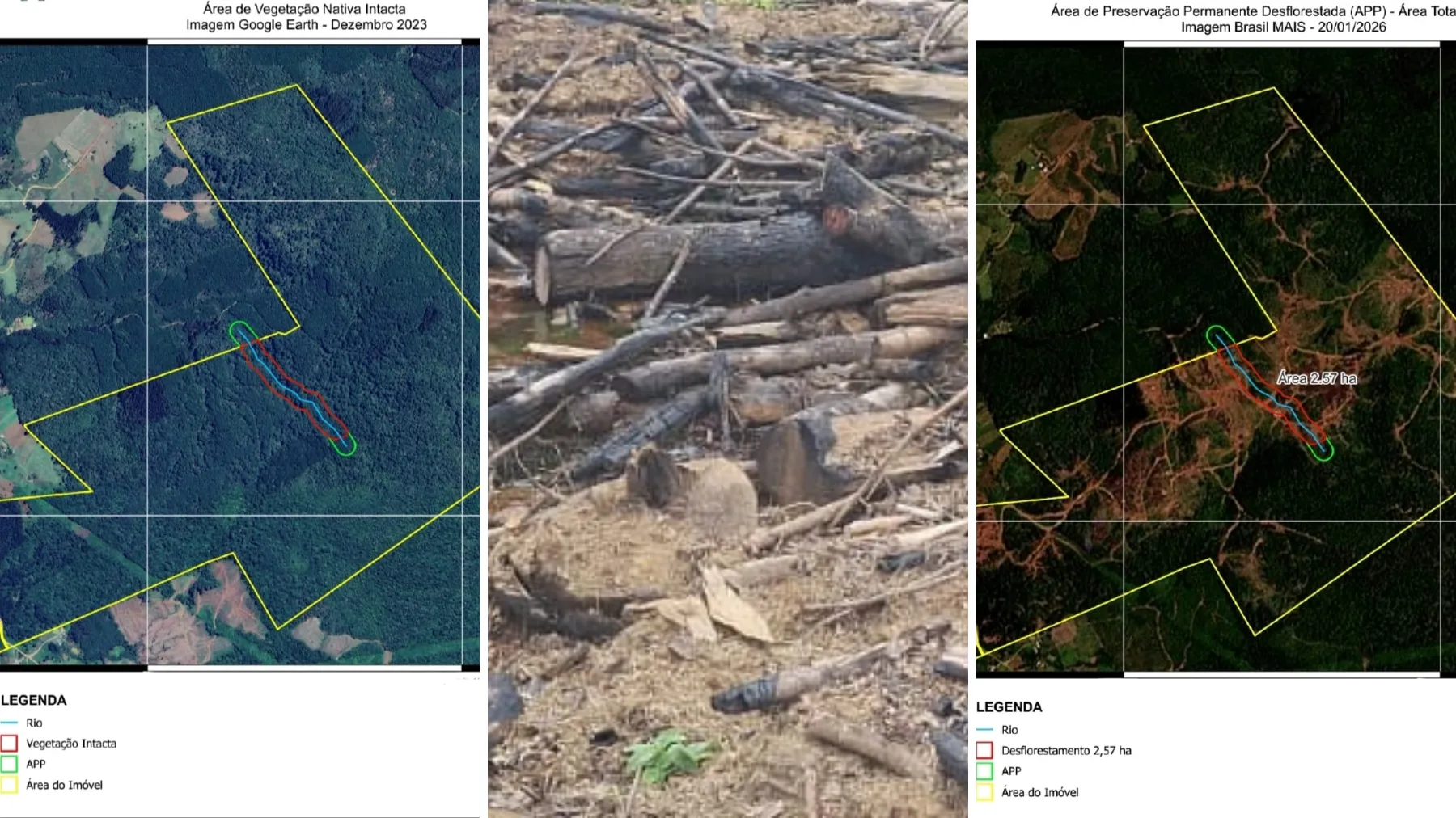 Imagem de satélite mostrando desmatamento e queimada em floresta no Paraná