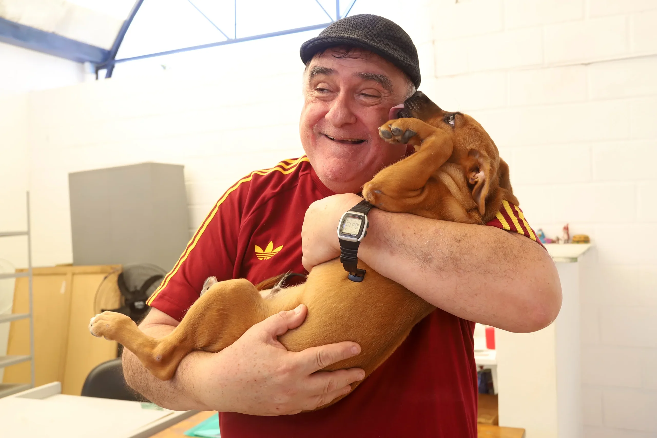 Aposentado Fernando Haddad segurando carinhosamente seu cachorro caramelo Banban