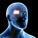 Diversidade de pessoas e o envelhecimento cerebral impactado pelo exposoma