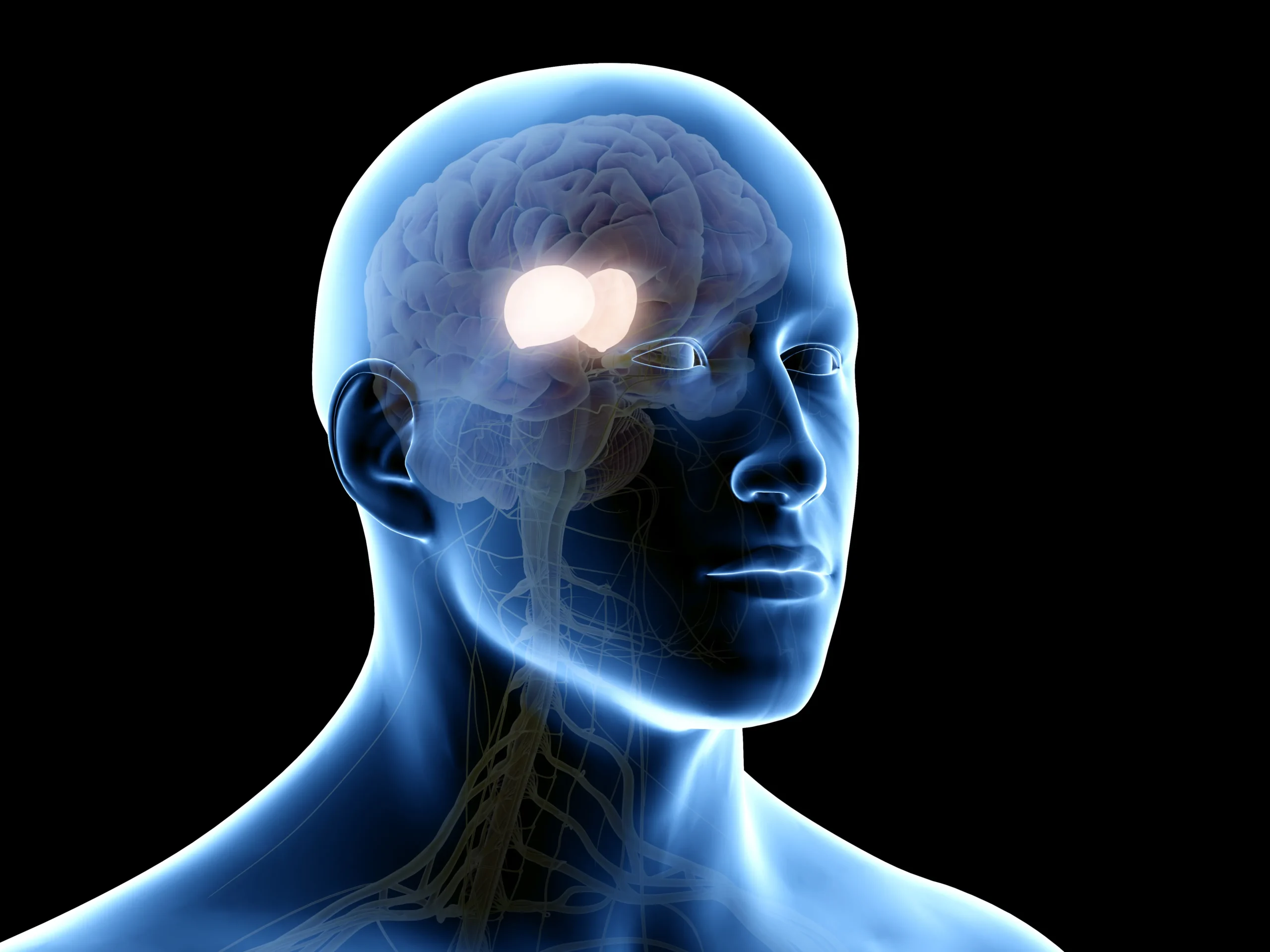 Diversidade de pessoas e o envelhecimento cerebral impactado pelo exposoma