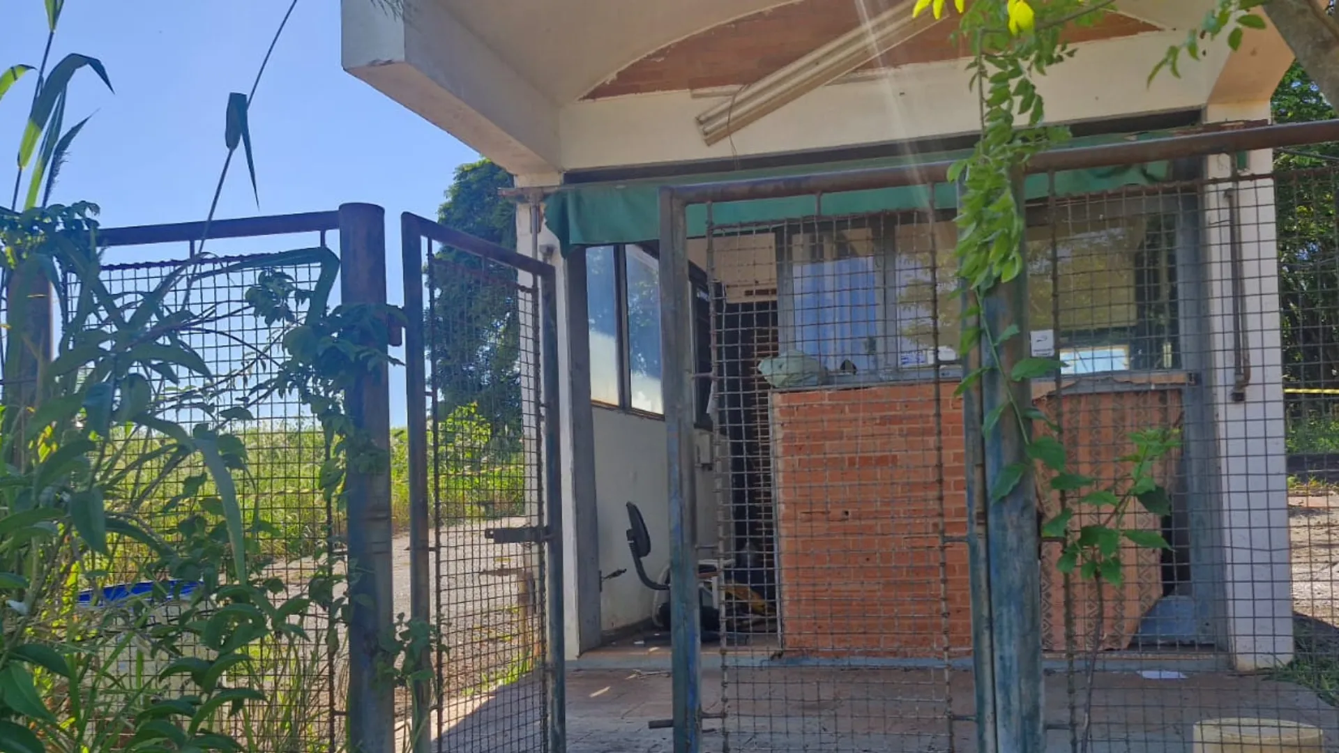 Vigilantes mortos usina desativada Monte Aprazível SP investigação