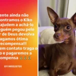 Filha de Edson, Bella, triste por cachorro Kiko desaparecido
