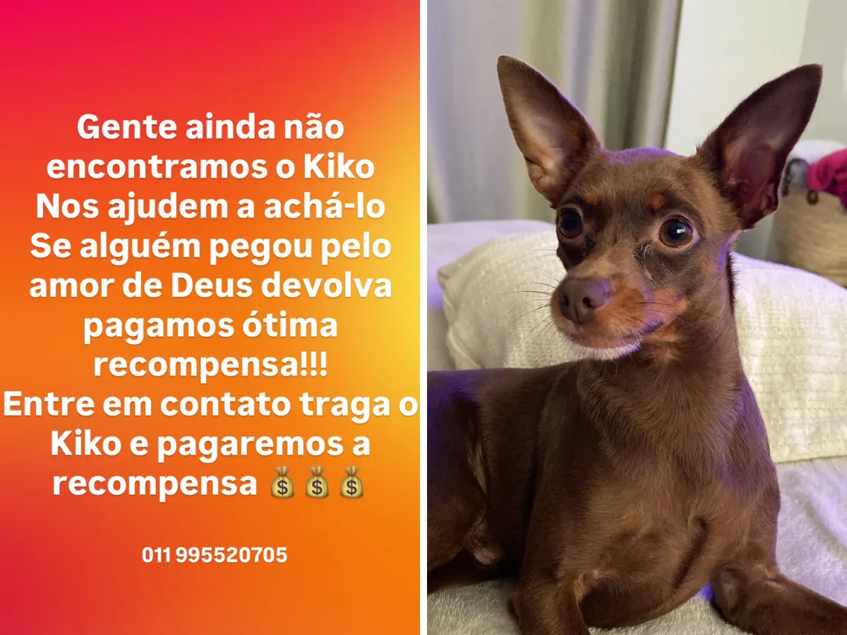Filha de Edson, Bella, triste por cachorro Kiko desaparecido