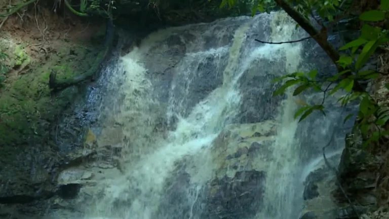 Poluição no córrego Bertini, Americana, por descarte de óleo e graxa