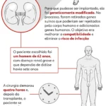 Coração de porco sendo preparado para transplante em humanos
