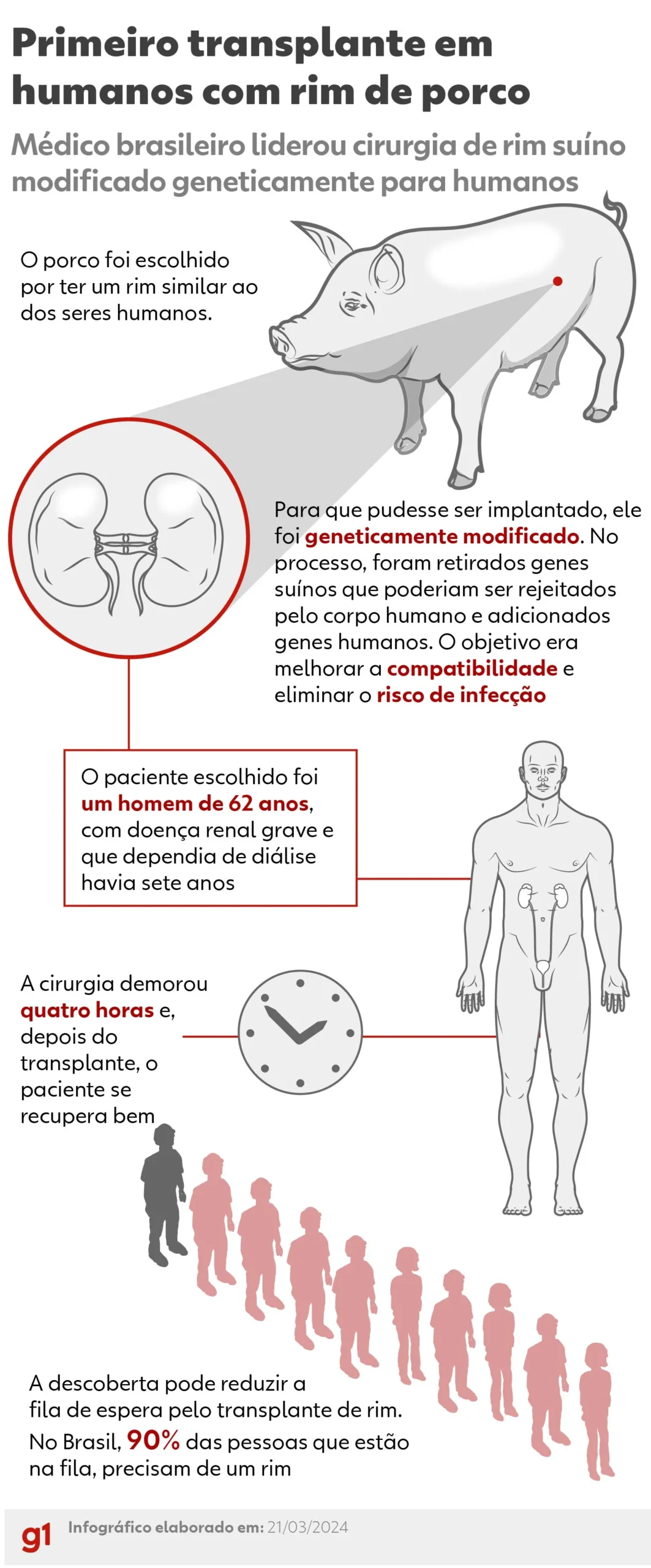 Coração de porco sendo preparado para transplante em humanos