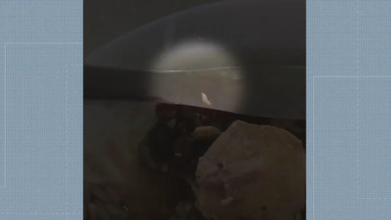 Bandejão UFRJ com comida de má qualidade e relatos de larvas