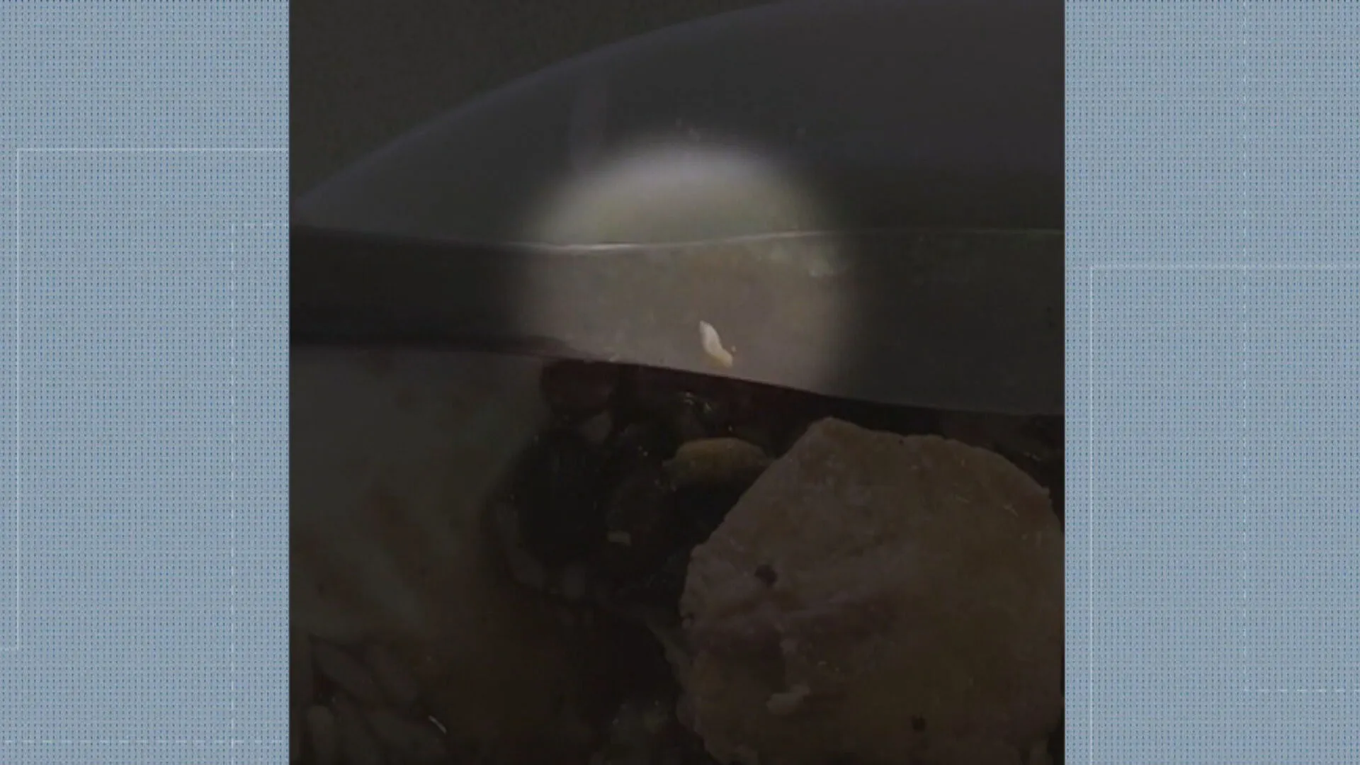 Bandejão UFRJ com comida de má qualidade e relatos de larvas