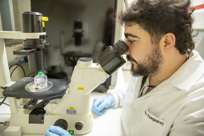 Ômega-3 e câncer de ovário: cápsulas de DHA em laboratório da UnB