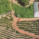 Cenário rural de Campestre, MG, durante buscas por farmacêutica desaparecida
