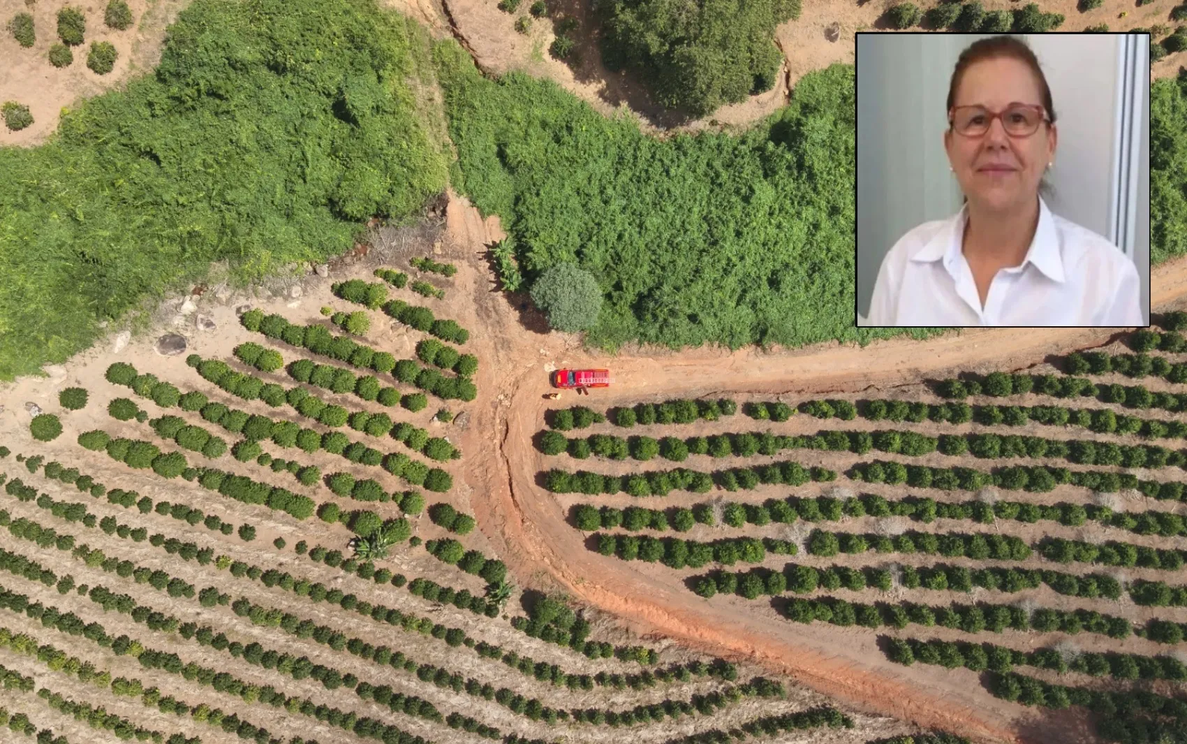 Cenário rural de Campestre, MG, durante buscas por farmacêutica desaparecida