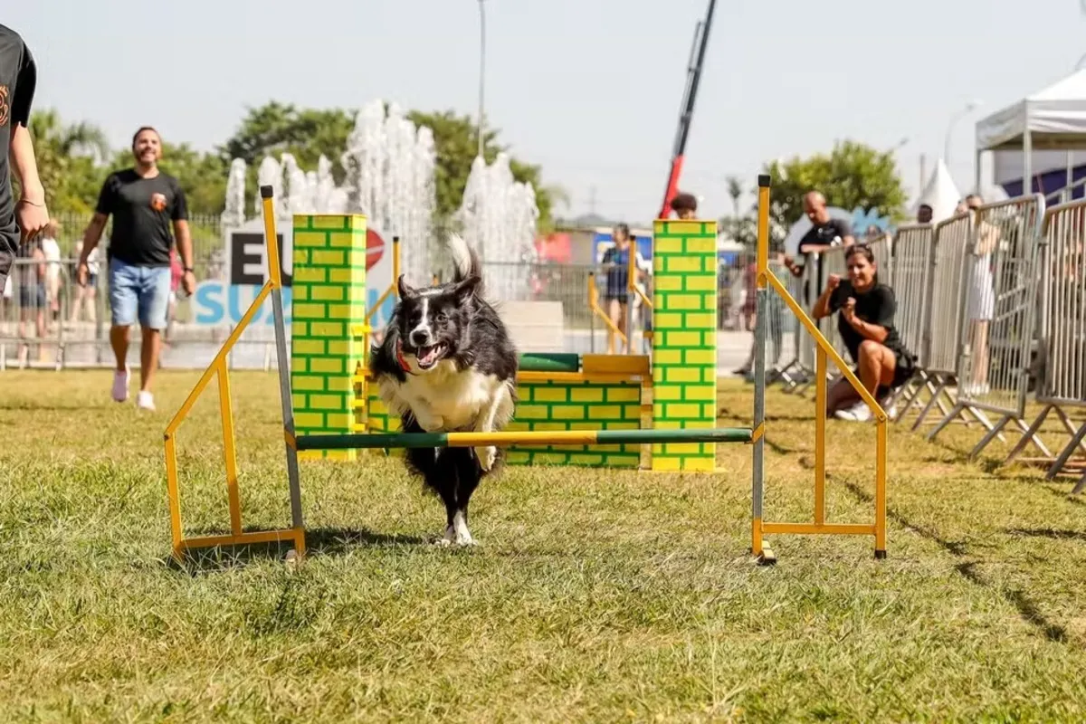Cães e tutores felizes participando do Festcão Suzano no Parque Max Feffer