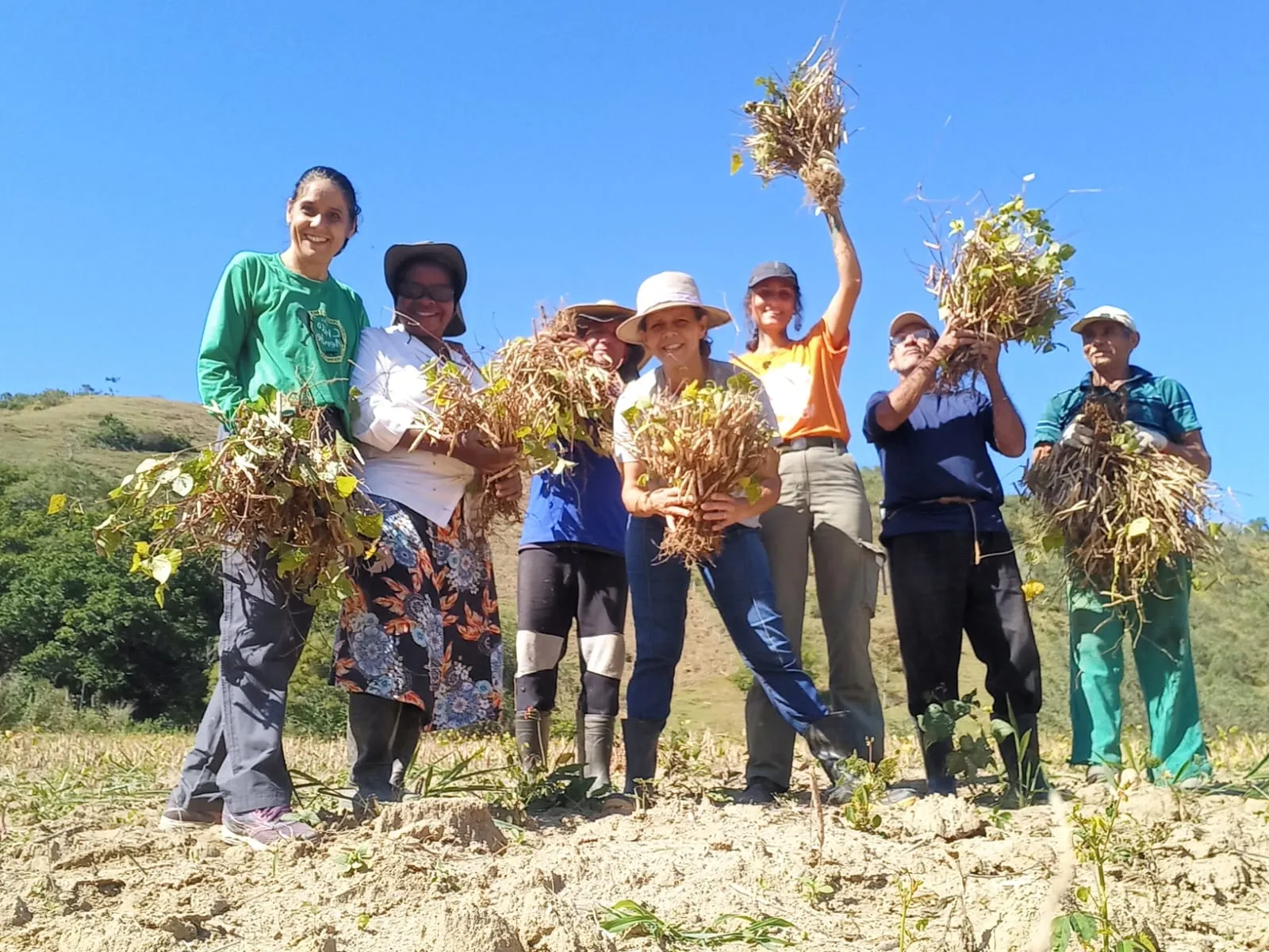 Pessoas celebrando no Festival de Cultura e Agricultura Familiar, mostrando produtos da terra e apresentações culturais.