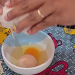 Ovo gigante com outro ovo dentro, galinha Famosa, Cássia MG