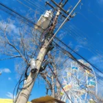 Gato de energia Itaperuna em parque de diversões