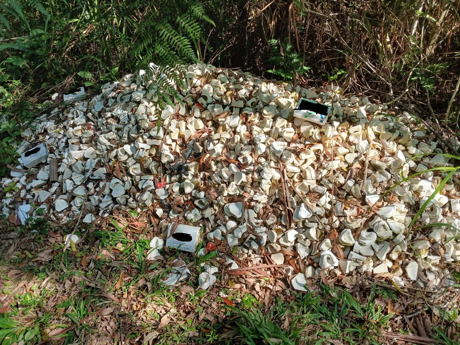 Descarte irregular de material odontológico Mogi das Cruzes GCM