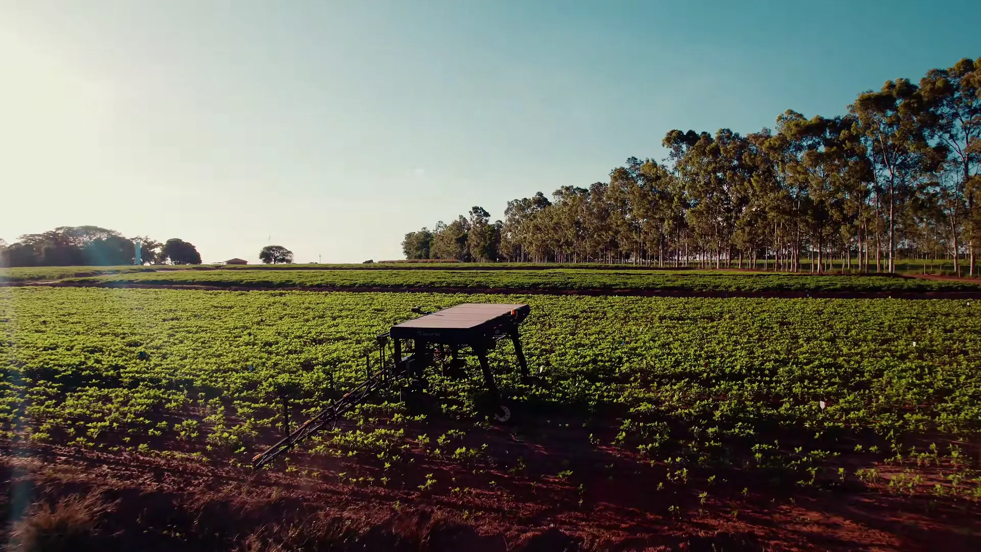 Produtor rural usando tecnologia e tablet para monitorar lavoura e praticar gestão de risco no campo
