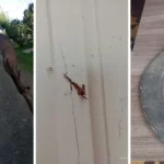 Policial conduzindo homem algemado em rua escura, com luzes de viatura ao fundo, simbolizando prisão por violência doméstica.