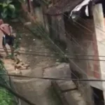 Homem é preso por maus-tratos a animais após matar cachorro do vizinho em Magé.