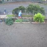 Feminicídio no Paraná: Polícia investiga morte de jovem em Vitorino