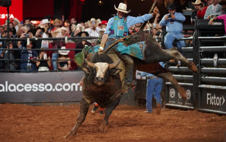 Arena de rodeio vazia, sem animais, após proibição em Campinas