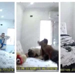 Tribunal do júri com policiais e promotores, julgamento de PMs em Paraisópolis