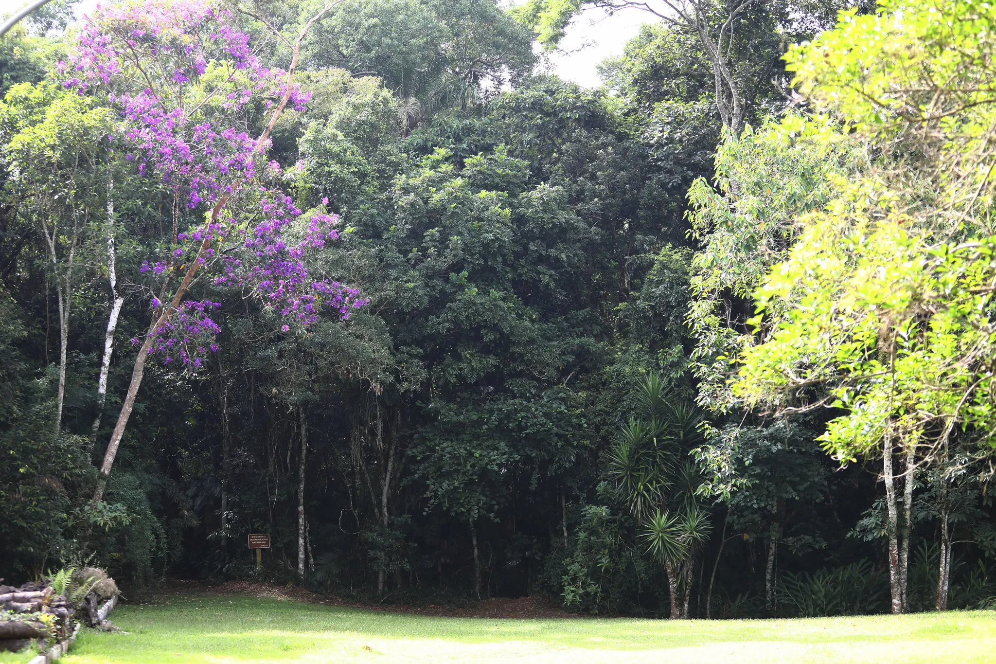 Horto Florestal São José dos Campos fechado, vista da mata atlântica com portão