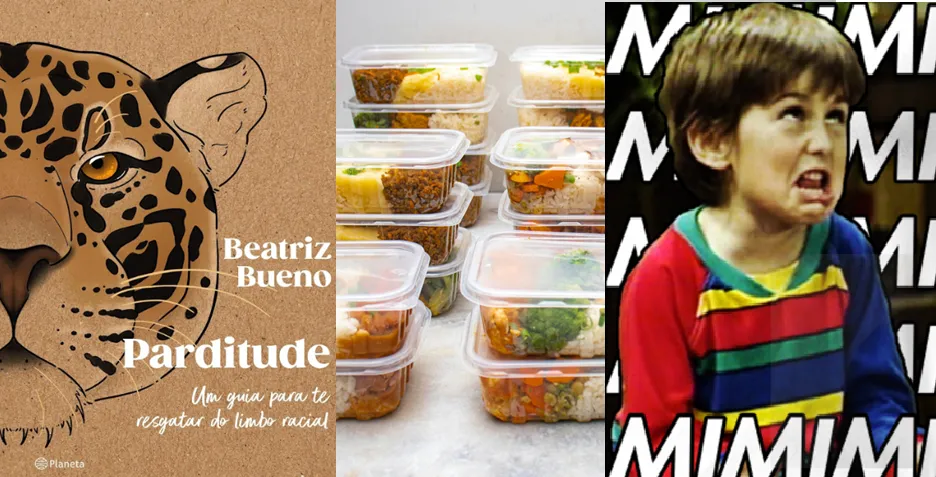 Dicionário aberto, lupa, novas palavras, língua portuguesa, ABL, Volp