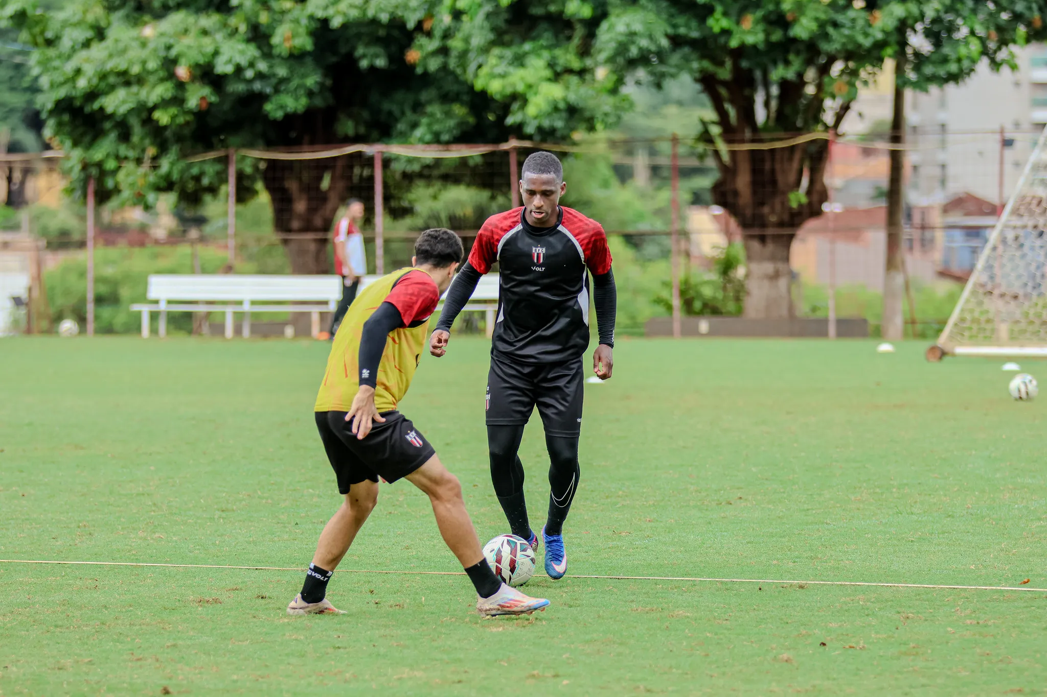 Matheus Sales Botafogo-SP treino Série B