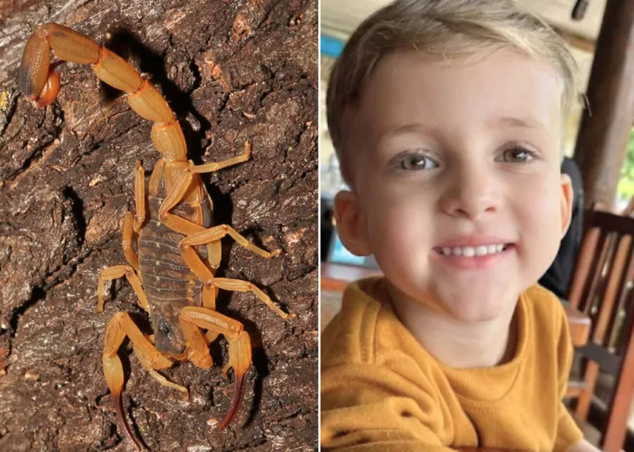 Pai com criança na sala de espera do hospital, preocupado com picada de escorpião