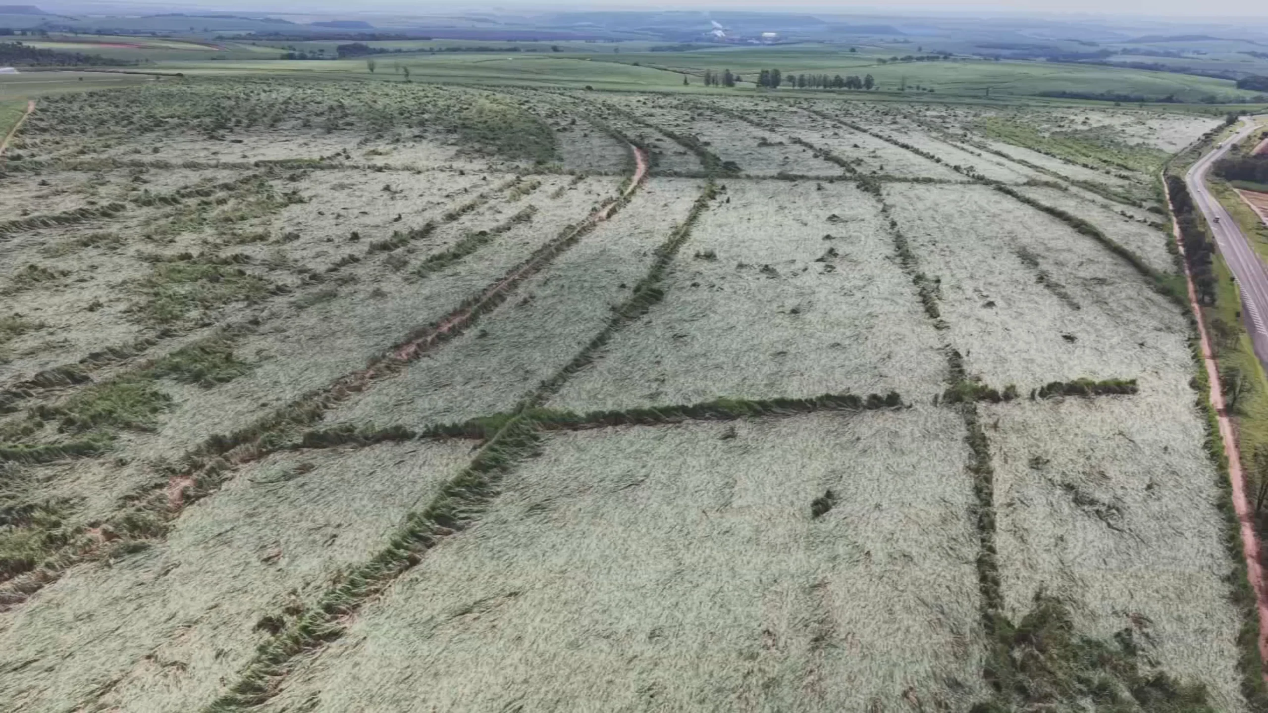 Canavial destruído por microexplosão SP-255