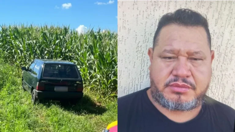 Plataforma de birdwatching em árvore, mata do Paraná, acidente fatal