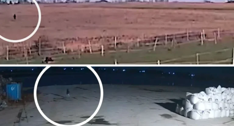 Barco à deriva com colete salva-vidas faltando, ligado ao desaparecimento de brasileira Vitória Figueiredo na Inglaterra.