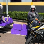 Drogas apreendidas, polícia rodoviária, Bauru, Palmital, maconha, haxixe, operação policial