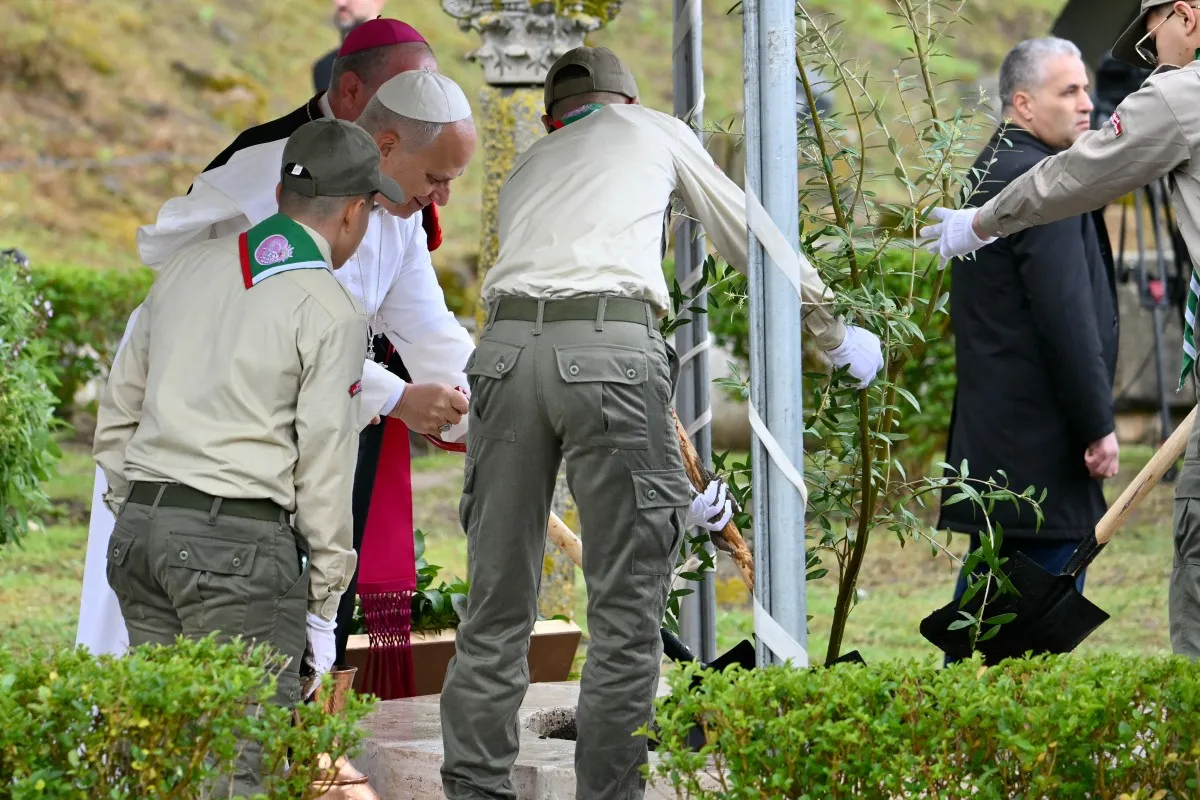 Papa Leão XIV plantando oliveira na antiga cidade romana de Hipona, Argélia, sob chuva.