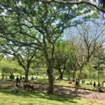 Mulheres em aula de defesa pessoal feminina no Parque Ibirapuera.