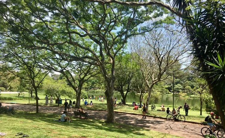 Mulheres em aula de defesa pessoal feminina no Parque Ibirapuera.