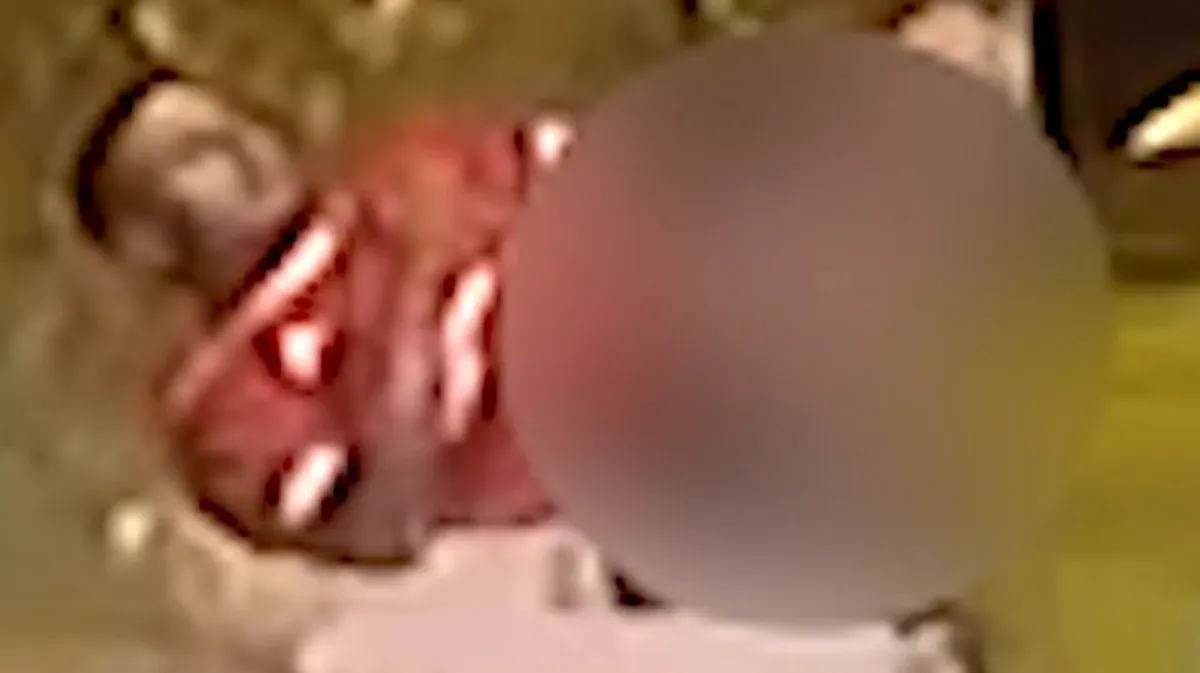 Promotora em júri popular, exibindo provas sobre a morte de Moïse