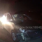 Rodovia SP-342 à noite com risco de pedestre atropelado