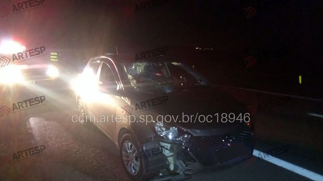Rodovia SP-342 à noite com risco de pedestre atropelado