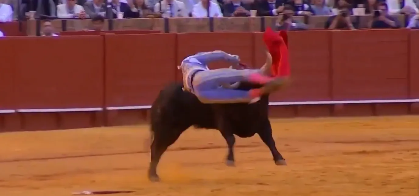 Toureiro peruano Andrés Roca Rey sofre chifrada grave em tourada na Espanha