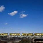 Torre de controle de tráfego aéreo, avião decolando, comunicação de pilotos, repreensão da FAA.