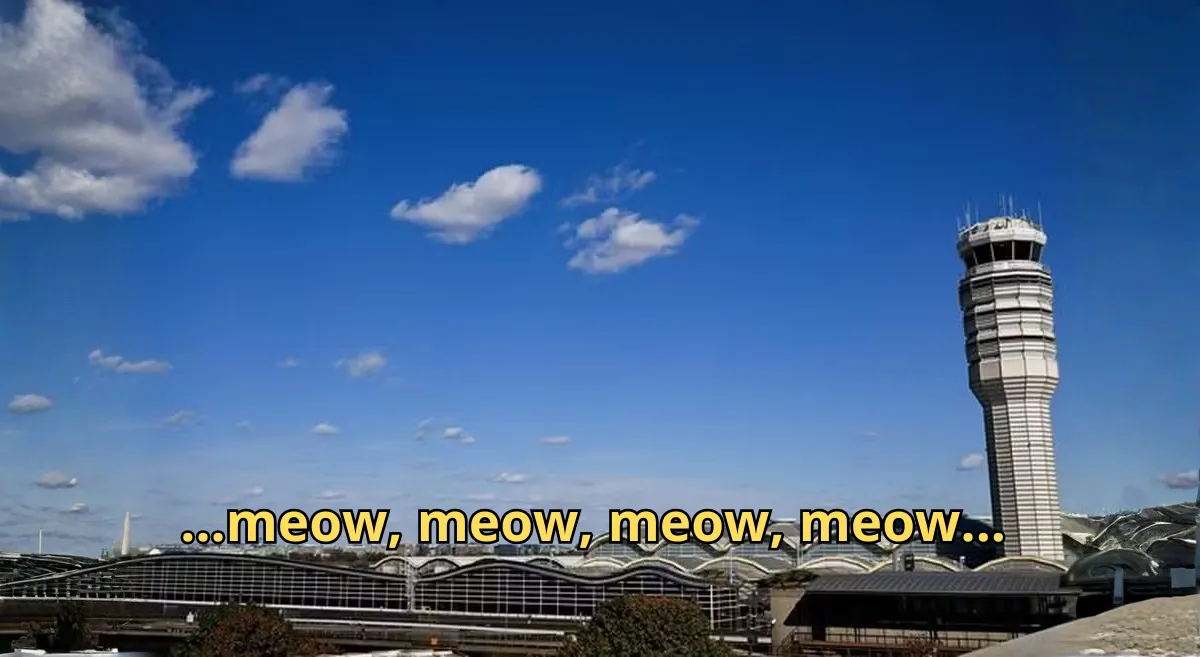 Torre de controle de tráfego aéreo, avião decolando, comunicação de pilotos, repreensão da FAA.