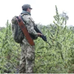 Plantação de maconha sendo queimada no Paraguai por forças policiais