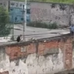 Policial militar de folga em Olaria, Rio, após reagir a roubo e tiroteio